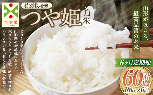 【6ヶ月定期便】【令和7年産新米】〈白米〉 つや姫 10kg×6回（特別栽培米） 山形県産 しらたかのお米 【2025年11月上旬発送開始予定】