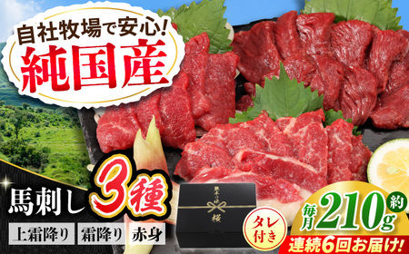 【全6回定期便】『純国産』熊本の味 馬刺し お試し 3種 セット 計約210g（2?3人前）上霜降り 霜降り 赤身 タレ付    赤身馬刺し 赤身馬刺し 赤身馬刺し 赤身馬刺し 赤身馬刺し [AYCN071]