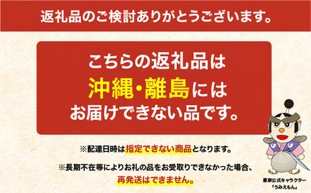 純厚岸産カキの復活！カキえもんスペシャル（生食用24個）