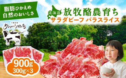 【11月以降順次発送】 サラダビーフ バラ スライス 300g×3パック《足寄町》【ありがとう牧場】牛肉 ビーフ 肉 ミート 牛 焼肉 牛丼 カレー BBQ 北海道 [BEAH006]