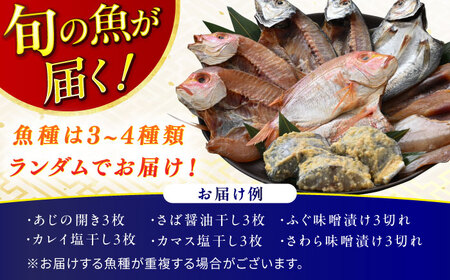 『定期便』全6回(隔月発送)【加福鮮魚】 季節の旬の魚をお届け！"生"干物厳選詰め合わせ 一夜干し 醤油干し 味噌漬け 塩干し[G-015001]