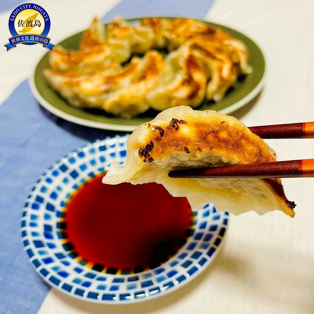 【ふるさと納税】りょうこのぎょうざ50個(10個入り×5パック)