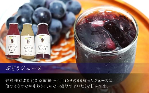 幸田町産 ぶどう使用(無添加、無糖、無加水)100% ジュース 3本 ジャム(90g)2本 詰め合わせ ぶどうジュース ぶどうジャム_イメージ2