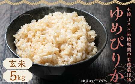 【令和7年産】有機JAS転換期間中有機農産物 らんこし産 玄米 ゆめぴりか 5kg（中村農場）お米 米 【2025年10月上旬～2026年7月下旬発送予定】