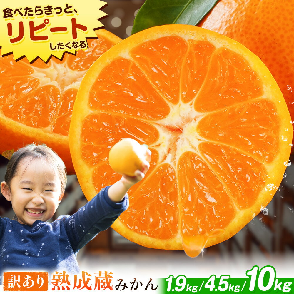 【ふるさと納税】訳あり 熟成みかん 選べる容量(1.9kg-10kg) 《1月中旬-3月中旬発送》徳島県 佐那河内村産 蜜柑 ミカン 柑橘 家庭用 フルーツ 産地直送 甘い 濃厚 蔵出し 大容量 箱買い くだもの 冬の味覚 1月配送 お正月明け 数量限定 まだある