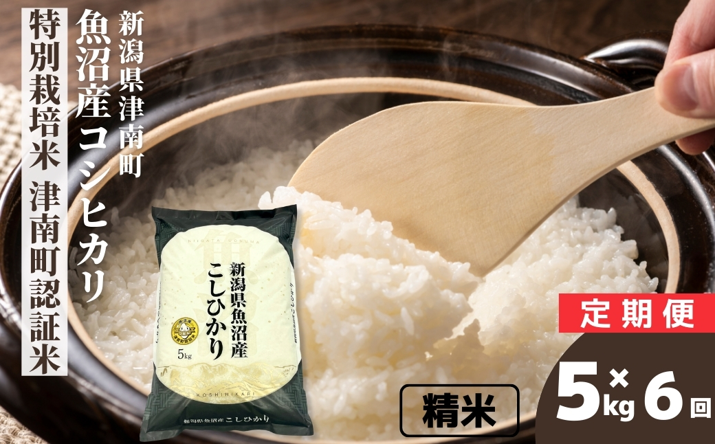 【6ヶ月定期便】令和7年産 魚沼産コシヒカリ 特別栽培米 津南町認証米 5kg 129404-015