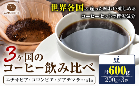 コーヒー豆 3ヶ国 飲み比べ 豆 計600g YAMACOFFEE《30日以内に出荷予定(土日祝除く)》大阪府 羽曳野市 コーヒー 豆 自家焙煎