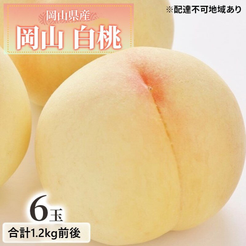 【ふるさと納税】桃 2026年 先行予約 白桃 6玉入り 合計1.2kg前後 もも モモ 岡山県産 国産 フルーツ 果物 ギフト デザート 芳醇な香り 岡山の桃 　お届け：2026年7月上旬～2026年8月中旬