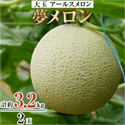 大玉アールスメロン　夢メロン2玉入り(1玉約1.6kg)【1235293】