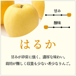 【先行予約】【希少品種】令和6年産 りんご サンふじ はるか セット 贈答用 5kg (14～18玉)  11月下旬発送予定 数量限定 希少 人気 お試し 甘い 旬 果物 リンゴ フルーツ 林檎 岩手