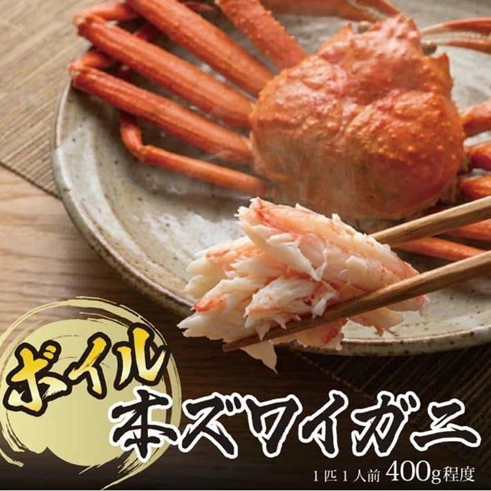 
            春のボイル・本ズワイガニ　1匹400g程度 SD0235
          