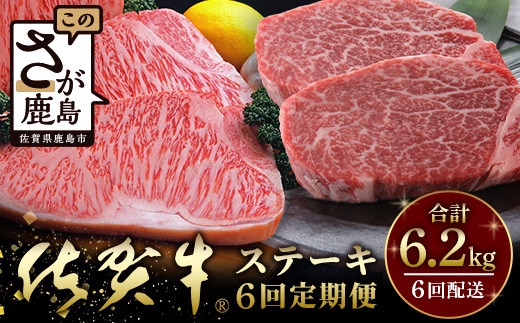 佐賀牛Ａ５ランク 大還元祭！！総重量5.7キロ＋500ｇ肉の女王ヒレステーキとサーロインステーキ 【６回定期便】 今だけ！佐賀牛ロース肉しゃぶしゃぶ用500ｇ付き　W-9