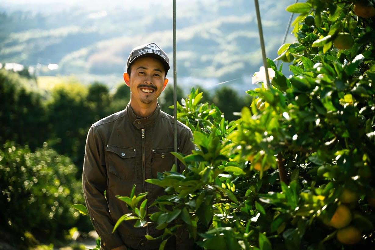 先行予約 温室ハウス栽培 プレミアム 完熟 不知火（化粧箱入り）3kg 髙橋果樹園【2025年12月上旬から2026年1月下旬発送予定】しらぬい みかん ミカン 柑橘 宇城市産不知火デコポン 不知火は