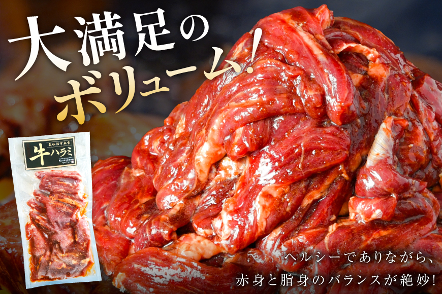 大人気！特製タレ漬 牛ハラミ 計900g (300g×3p) [モ～ランド 宮城県 気仙沼市 20564312] 肉 900g （300g×3p）