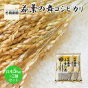 【ふるさと納税】米 若葉の舞 コシヒカリ 白米5kg×2個セット こしひかり セット お米 白米 精米 千葉 千葉県 低温保存