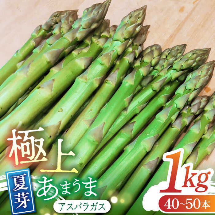 【ふるさと納税】【2026年】5～9月配送 極上あまうま 夏芽 アスパラガス M～L 1kg （40～50本）【Nature-falo】[ZEQ002]