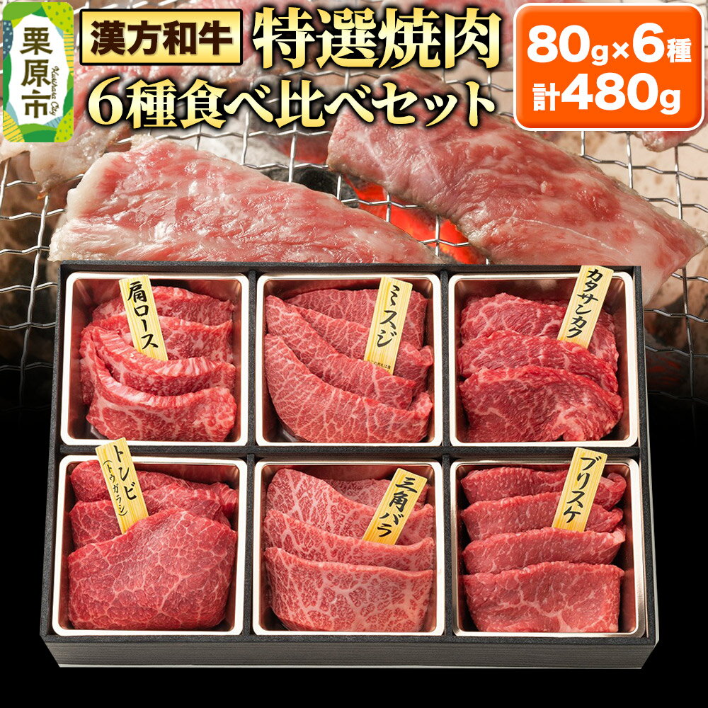 【ふるさと納税】漢方和牛特選焼肉食べ比べセット 80g×6種 計480g 【肩ロース、ミスジ、カタサンカク、トンビ、三角バラ、ブリスケ】牛肉 焼き肉