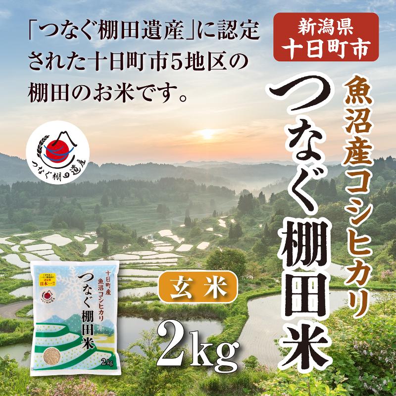 【ふるさと納税】玄米2kg 令和7年産新潟県十日町市魚沼産コシヒカリ「つなぐ棚田米」 米 こしひかり 無洗米 十日町市　お届け：2026年9月下旬まで