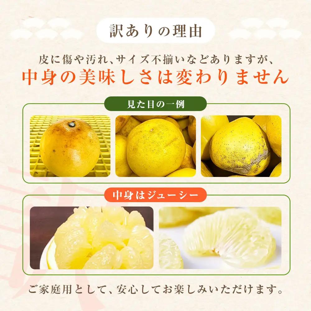 【ふるなびWEEK対象】先行予約 訳あり 土佐文旦 家庭用 約5kg 約8～15玉 M～5L混合サイズ 高知県産 FN-Limited-WE