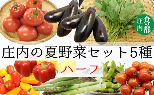 食の都庄内　庄内の夏野菜セット5種ハーフ（ちょっとずつお試し！）※7月上旬～9月下旬配送 [HS4-143(庄内旬青果)] 夏野菜セット5種ハーフ ￥11,000