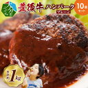 【ふるさと納税】ハンバーグ 黒毛和牛 豊後牛 10個 セット 合計約 1kg プレーン 焼くだけ 簡単調理 手軽 お弁当 大分 冷凍 小分け 肉 牛肉 加工品 送料無料 A05064