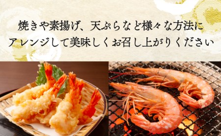 「えび」の灰干し食べ比べセット！「天使の海老」VS「赤えび」　エビの干物