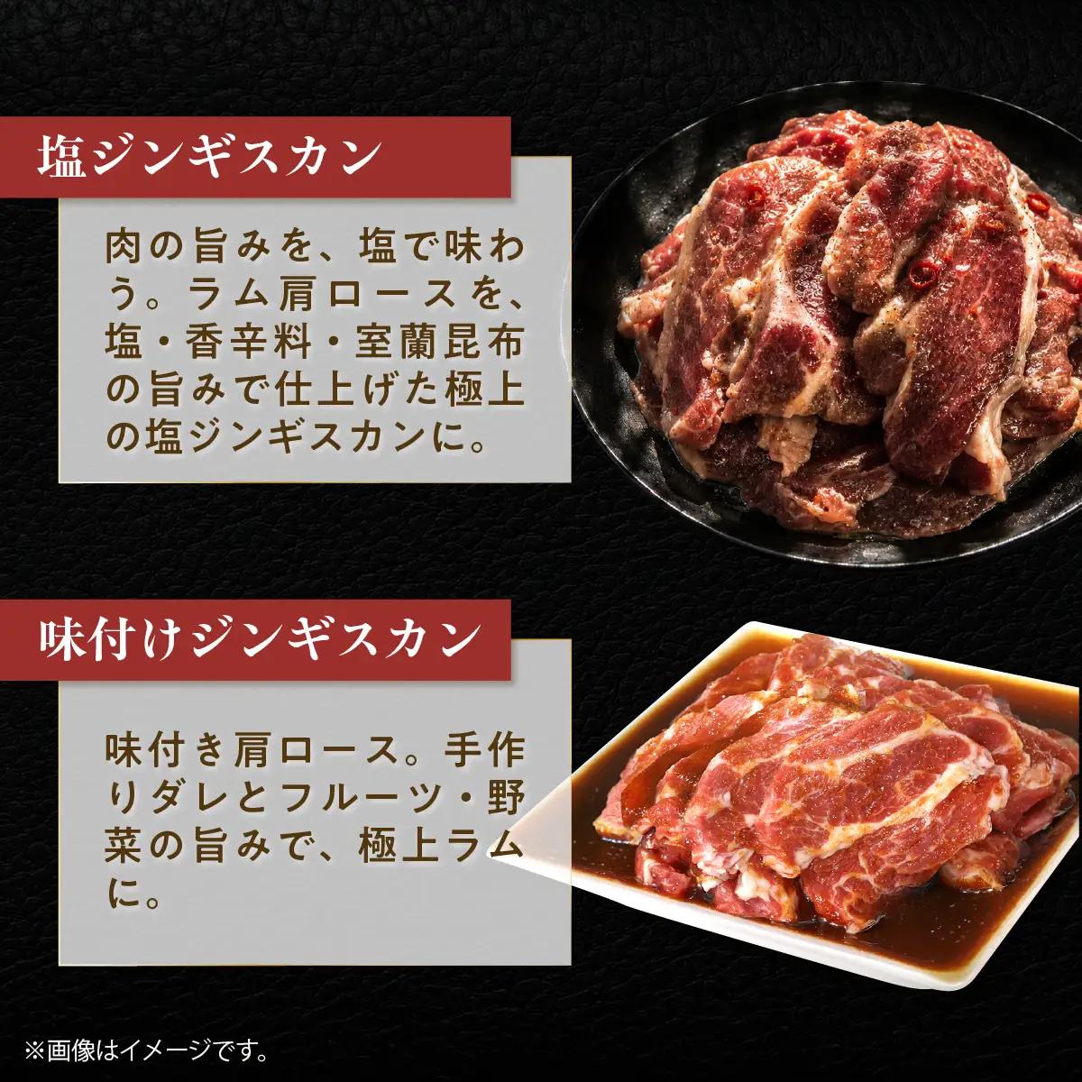 【12ヶ月定期便】塩ジンギスカン500g×1 味付けジンギスカン500g×1 セット MROA303