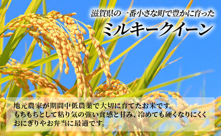 定期便 5kg×3ヶ月 ミルキークイーン 無洗米 令和7年産 滋賀県豊郷町産 近江米 お米 白米 ごはん ライス 主食 炭水化物 おにぎり 米 定期 3回