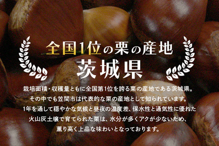 アカツファームの生栗 特大 3Lサイズ 1kg 栗 笠間 栗 くり 生栗 大きい 大粒 茨城 国産 国産栗 和栗 甘栗 栗ご飯 栗きんとん 栗おこわ 甘露煮 マロン 秋 旬 おやつ スイーツ きんとん
