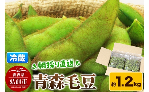 【26年9月下旬～発送】【朝採り直送 令和8年度】青森毛豆 約1.2kg 青森・津軽の秋を味わう栗のような濃厚なうまみの枝豆【先行受付】 産地直送 おつまみ 新鮮 えだまめ 野菜 予約 [毛豆 青森県 弘前市 おいしい つまみ 枝豆 大豆 茶豆 津軽 美味]
