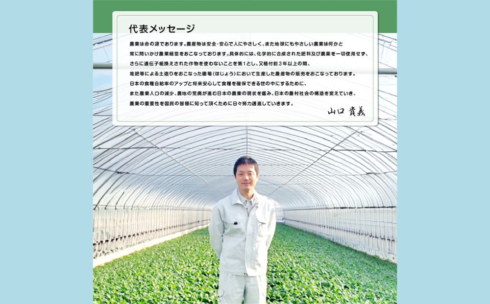 農家のたっぷり野菜カレー 10個／ふるさと納税 レトルトカレー 詰め合わせ 無添加 ギフト 10食 野菜 ふるさと 有機野菜 オーガニック 飯 簡単 時短 保存食 奈良県 宇陀市 山口農園