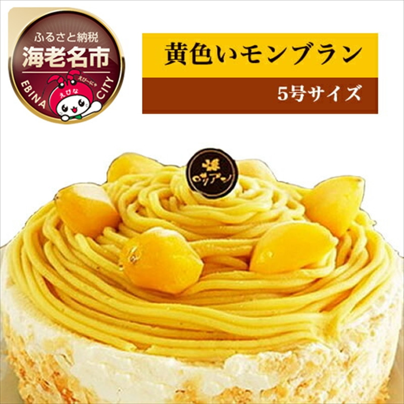 
            黄金色に輝く昔懐かしの黄色いモンブラン【 菓子・スイーツ ケーキ 】
          