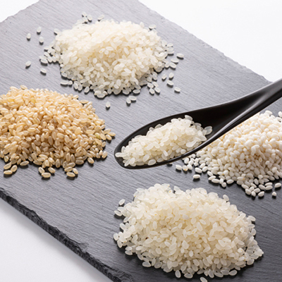 令和7年産　養老のこだわり米　食べ比べセット4種合計7kg