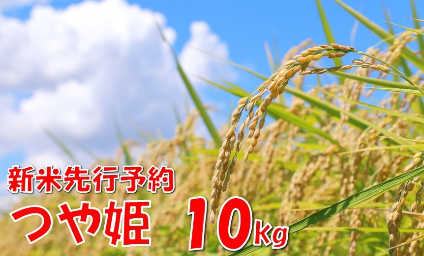 
                  【令和８年産米 先行予約】つや姫10kg　高橋　
                