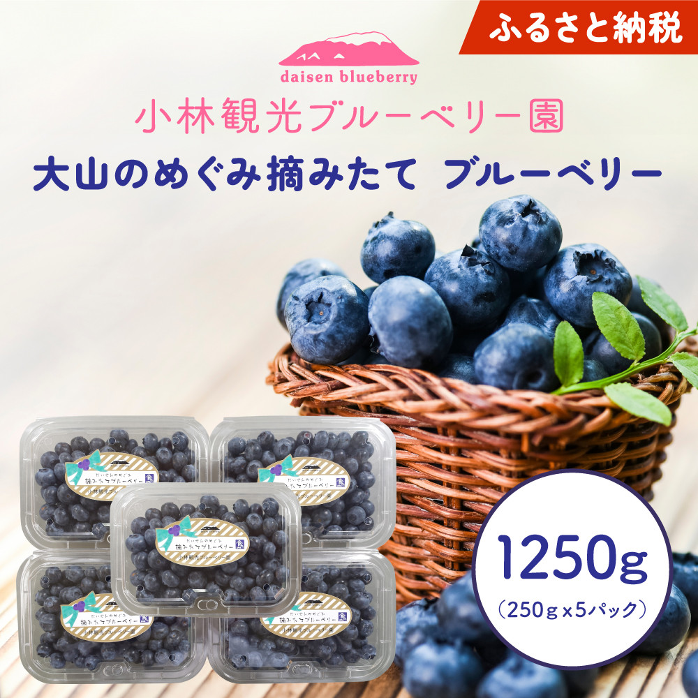 
            【期間限定】大山のめぐみ摘みたてブルーベリー　1250ｇ KB-01
          