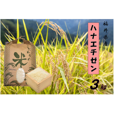 令和7年産　ハナエチゼン(精米)　3kg【1462109】