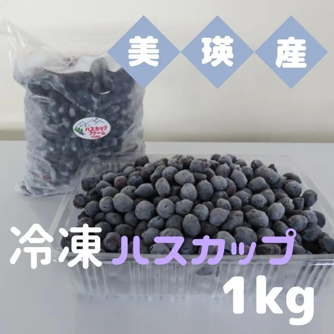 ハスカップ 1kg 美瑛産冷凍 ハスカップ  [019-63]