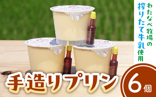 手造りプリン6個セット【冷蔵 ネッカ牛乳 ネッカ卵 蒸しプリン ソース別 牧場 スイーツ おいしい ご褒美 おやつ 牧場 搾りたて グルメ お土産 自宅用 ギフト 贈り物 島根県 安来市】