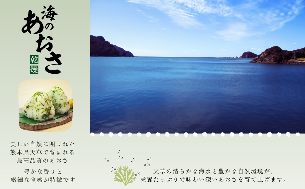 【海の恵み】熊本県天草産 あおさ 50g×3個セット 合計150g