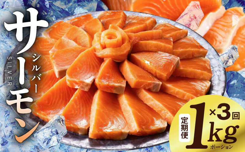 099Z346 サーモン 定期便 1kg×全3回【ポーション 訳あり サイズ不揃い 刺身 海鮮丼 さーもん サラダ カルパッチョ 鮭 さけ シャケ しゃけ 人気 小分け 冷凍 家計応援】