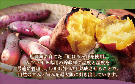 U61-109 干し芋 1.2kg（200g×6） 博多若杉 訳あり 干し芋 紅はるか サツマイモ 常温 さつまいも スイーツ 和菓子 小分け 個包装 1200g 福智 手軽 送料無料 【wksg01