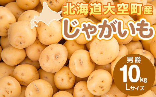 じゃがいも(男爵) Lサイズ 10kg 大空町産 【 ふるさと納税 人気 おすすめ ランキング じゃがいも ジャガイモ いも 芋 男爵 10kg L サイズ カレー 北海道産 野菜 旬 北海道 大空町 送料無料 】 OSR011