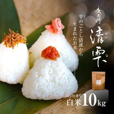 ふるさと納税 福知山市 京都夜久野産 清雫(せいな)コシヒカリ  白米 10kg(5kg×2袋)