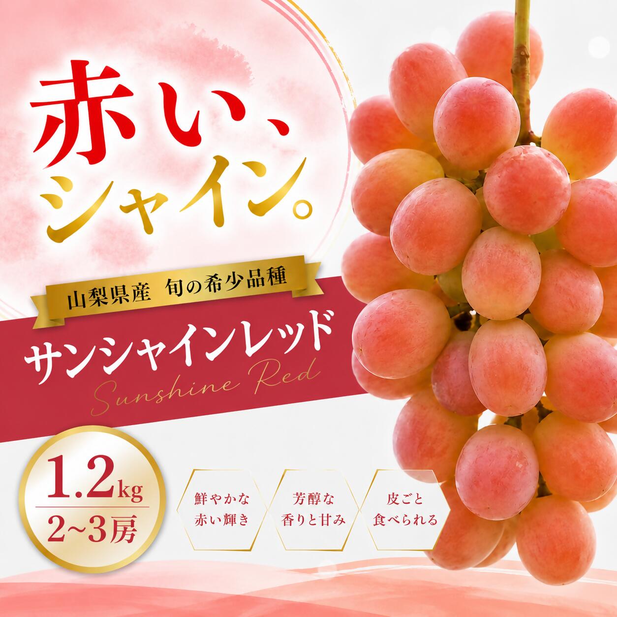 【ふるさと納税】 サンシャインレッド 1.2kg以上 2～3房 2026年発送 産地直送 甲州市産 希少 赤系ぶどう系 シャインマスカット系 ぶどう 葡萄 ブドウ 採れたて 新鮮 果物 くだもの フルーツ 9月 10月 発送 期間限定 数量限定 ギフト 贈答 （ORJ） 【C1-805】