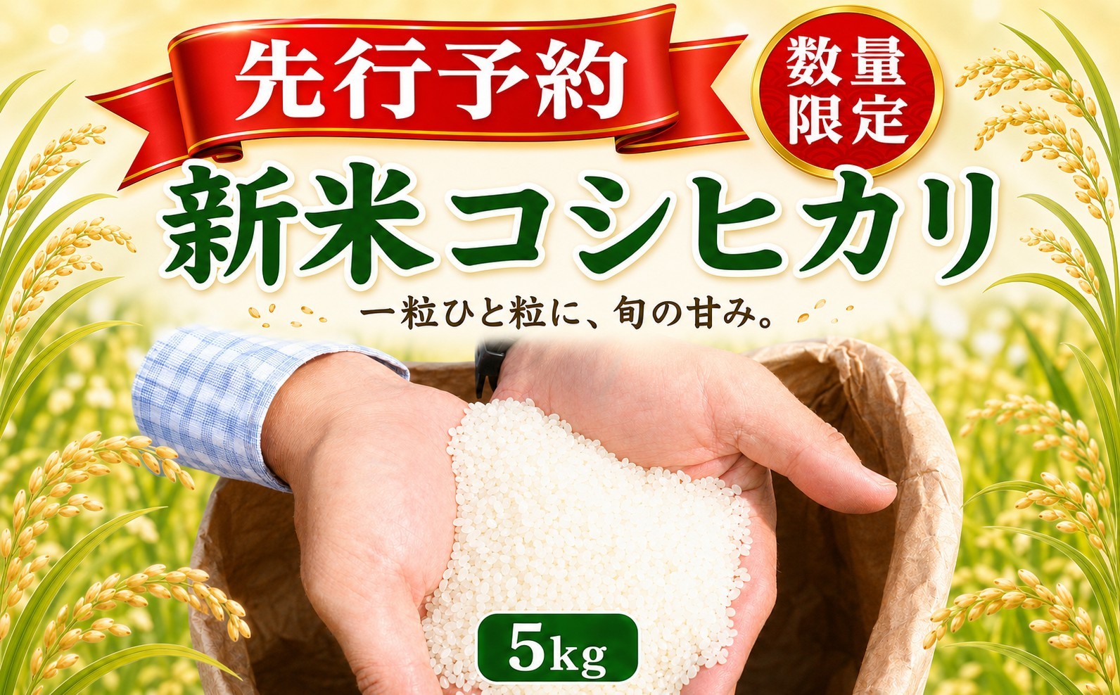 
                  【指定日配送可】 ≪ R8年産 とれたて 新米 コシヒカリ 5kg ≫ 白米 米 お米 先行予約 数量限定 期間限定 こしひかり 5キロ 米5kg 新米5kg キロ ごはん コメ おこめ はくまい 白飯 厳選 先行予約 okome kome おむすび おにぎり 国産 飯 ご飯 ライス 取り寄せ 弁当 家計応援 贈答 贈り物 高知県産 R8 2026年産 精米 新米 作田農園 高知県 室戸市
                