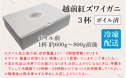 【先行予約】【数量・期間限定】福井県産 越前 紅ズワイガニ ×3杯【急速冷凍】（プロトン凍結）【12月より順次発送】