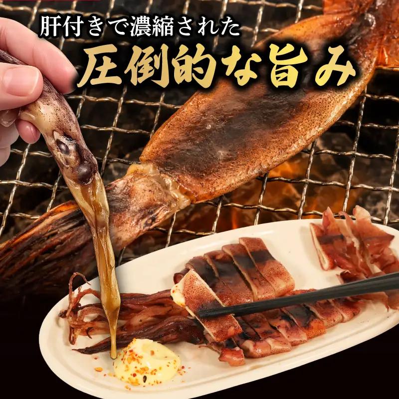 イカの干物 冷凍 南伊勢町産 1パック 干物 一夜干し イカ おつまみ 晩酌 おかず 晩御飯 するめ スルメ スルメイカ 丸干し 海鮮 魚介 海産物 山藤 伊勢 志摩 南伊勢 5000円 5千円以下