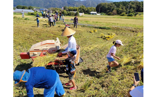 自然栽培米 キヌヒカリ 玄米 25kg　京都府・亀岡産 令和5年産 栽培期間中農薬不使用  ※離島への配送不可