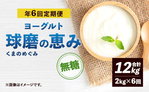 
【定期便 年6回】球磨の恵み ヨーグルト 無糖 2kg×6回 合計12kg
