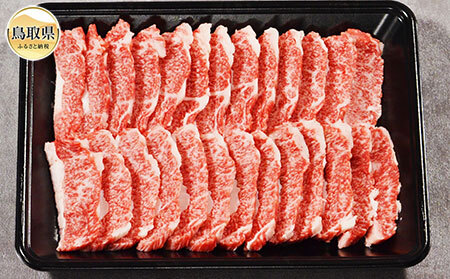 B25-026 鳥取和牛 焼肉用 カルビ 500g